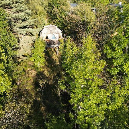 L'Oriel Du Senepy Pensionat La Motte-dʼAveillans Exteriör bild